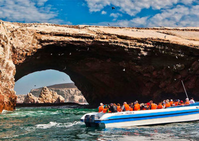 Full day Ballestas Islands