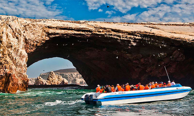 Full Day Islas Ballestas