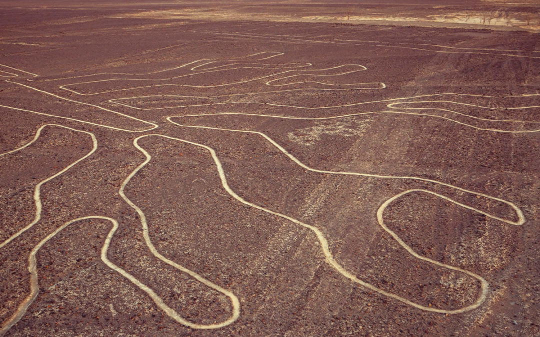 Full Day Lineas de Nasca