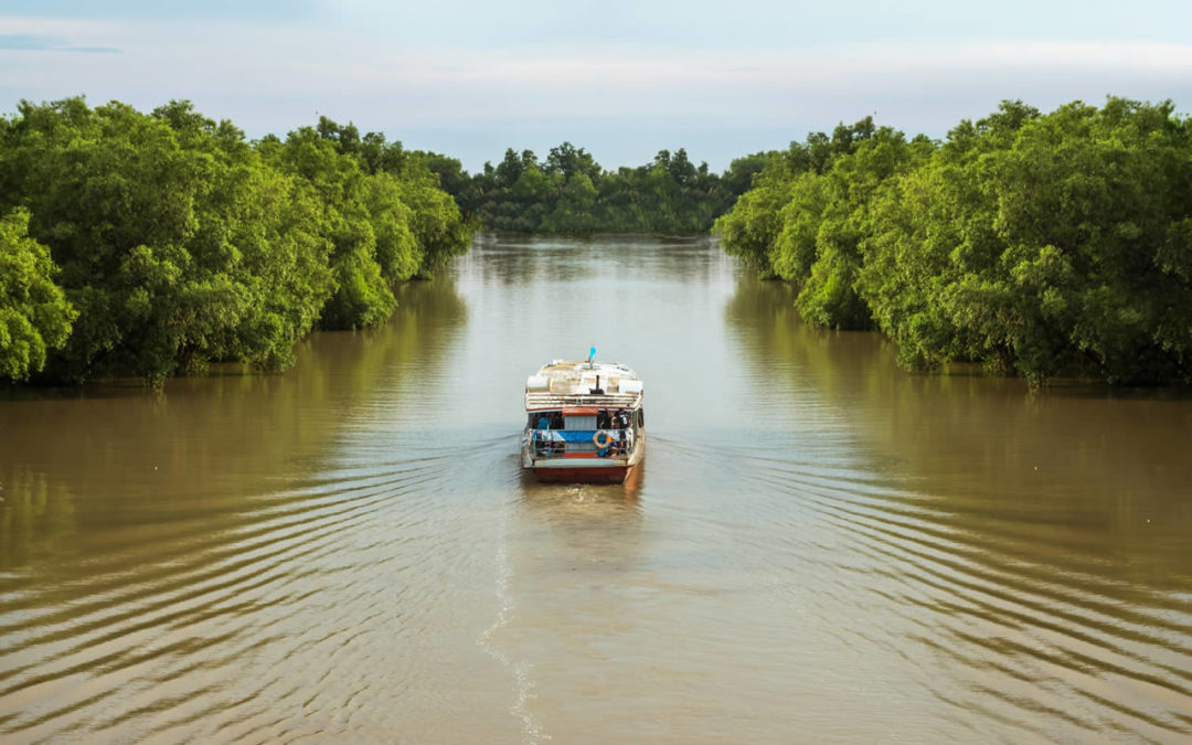 Refugio Amazonas